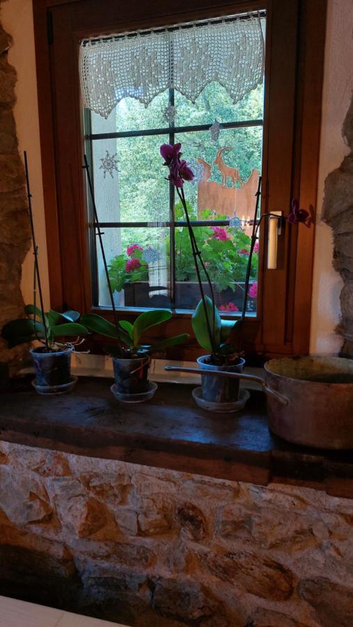 Beb Luca76 Bed & Breakfast Avise Dış mekan fotoğraf