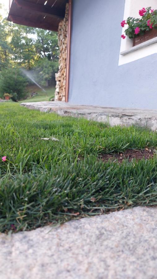 Beb Luca76 Bed & Breakfast Avise Dış mekan fotoğraf